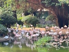 -讯号山花园