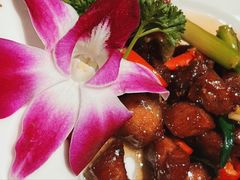 -小娘惹厨房Little Nyonya(狮城有约上榜店)