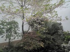 -胡雪岩故居