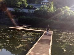 景点-武当山风景区