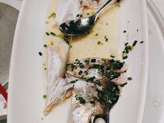 -沪碟·精菜坊(闵行店)