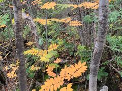 -白草畔自然风景区