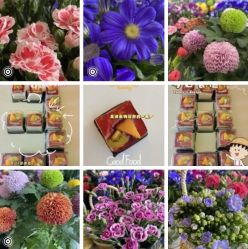 -喜宝悉贝月子会所(锦江店)