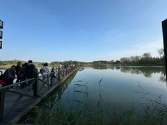 -溱湖国家湿地公园