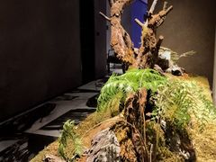 -许家菜.艺创菜(仁和新城店)