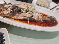 -老洋房花园饭店(绍兴路店)