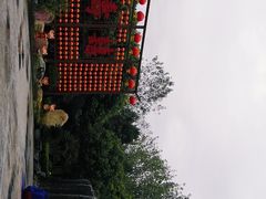 -合肥滨湖国家森林公园