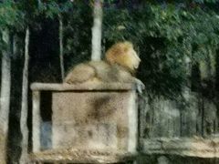 -清迈夜间动物园