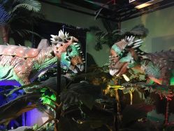 -恐龙探索乐园(磁器口店)