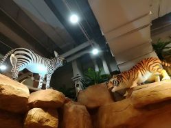 老虎斑马-鲁比猴非洲探索部落(喜盈门店)