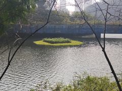 -重庆彩云湖湿地公园