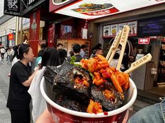 -黑色经典臭豆腐·湖南特产(步行街店)