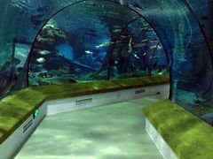 -福州罗源湾海洋世界旅游区