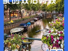 -上海星河湾双语学校