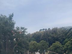 -厦门悦华酒店
