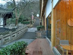 -上海佘山国家森林公园西佘山园