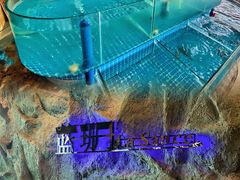 -蓝珊甄选海鲜自助·火锅大排档(近阿那亚店)