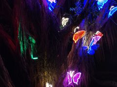 -老福洲(西洪路店)