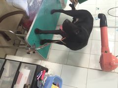 艾咪宠物店-艾咪宠物店(长宁支路店)