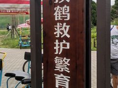 -盐城丹顶鹤湿地生态旅游区