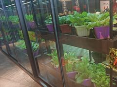 -番食园鲜食火锅(高新店)