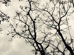 淡水老街-淡水老街