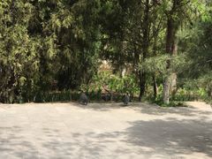 -石家庄市动物园