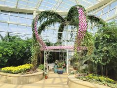 -石家庄市植物园