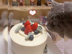 -森之烘焙.蛋糕.甜品台定制(番禺万博店)