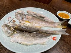 鱼饭-抱德·潮汕味(琶洲店原惠城鱼仔)