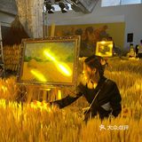 福临门大丰收不一样的玉米展