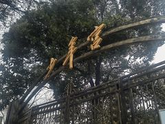 -中国福利会少年宫