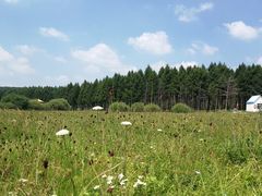 -塞罕坝国家级自然保护区