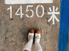 -小麦岛公园