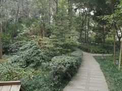 -成都市活水公园
