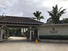 -打洛口岸