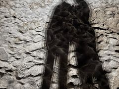 -坂吉屋·居酒屋深夜食堂(龙湖店)