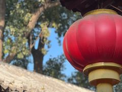 -中卫御苑福膳·养生局(圆明园店)