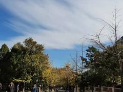 -八大关景区