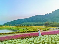 -径山花海