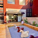 木木满山MuMuMountain全北京最好吃面包店被我找到了