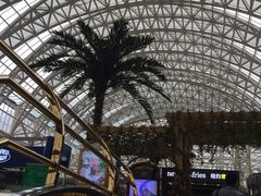 -星巴克臻选(成都环球乐天店)
