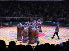 -西安秦岭野生动物园