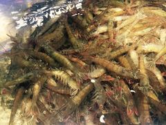 -V-ONE西雅图海鲜自助餐厅(仓山万达广场店)