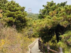 -北京十三陵国家森林公园蟒山景区