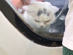 -牧马人宠物医院