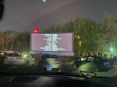 -枫花园汽车电影院(朝阳公园店)