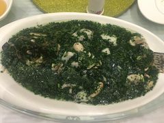 -蝶苑(吴江路店)