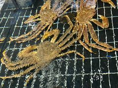 帝皇蟹。-张家卫·阳江菜·小海鲜(肥婆湾桥店)