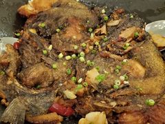 -开海·红岛海鲜虾水饺(石老人店)